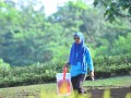 Tn DSC 1758